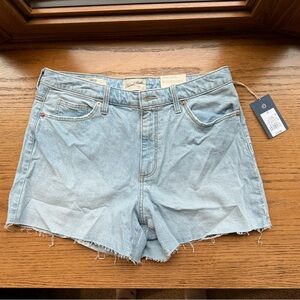 Light Wash Jean Shorts